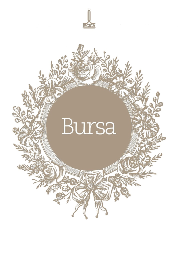 Sultan II. Abdülhamid dönemi fotoğraflarıyla Bursa